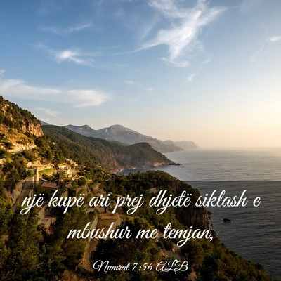 Picture 03 - Numrat 7:56 ALB - një kupë ari prej dhjetë siklash e mbushur me - Bible Verse Picture