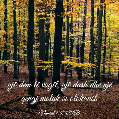 Picture 03 - Numrat 7:57 ALB - një dem të vogël, një dash dhe një qengj - Bible Verse Picture