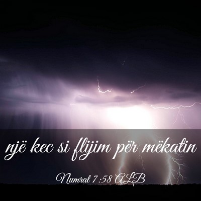 Picture 03 - Numrat 7:58 ALB - një kec si flijim për - Bible Verse Picture