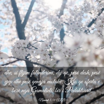 Picture 03 - Numrat 7:59 ALB - dhe, si flijim falënderimi, dy qe, pesë desh, - Bible Verse Picture