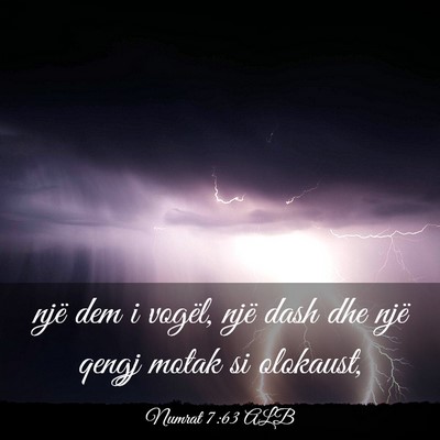 Picture 03 - Numrat 7:63 ALB - një dem i vogël, një dash dhe një qengj motak - Bible Verse Picture
