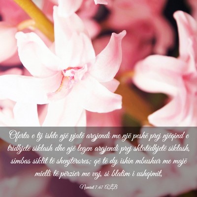 Picture 03 - Numrat 7:67 ALB - Oferta e tij ishte një pjatë argjendi me një - Bible Verse Picture
