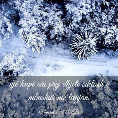 Picture 03 - Numrat 7:68 ALB - një kupë ari prej dhjetë siklash e mbushur me - Bible Verse Picture