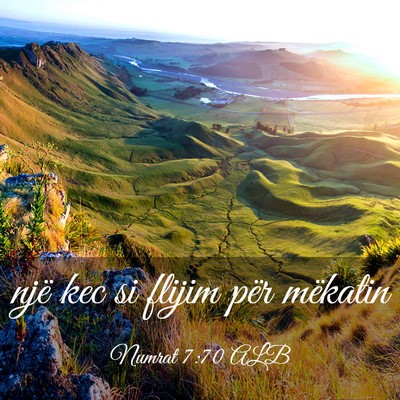 Picture 03 - Numrat 7:70 ALB - një kec si flijim për - Bible Verse Picture