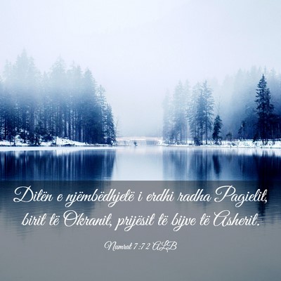 Picture 03 - Numrat 7:72 ALB - Ditën e njëmbëdhjetë i erdhi radha Pagielit, - Bible Verse Picture