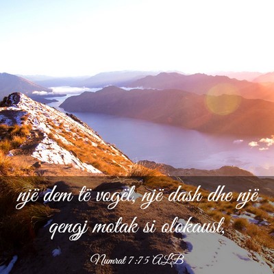 Picture 03 - Numrat 7:75 ALB - një dem të vogël, një dash dhe një qengj - Bible Verse Picture