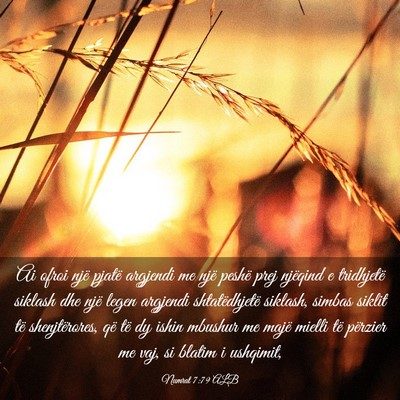 Picture 03 - Numrat 7:79 ALB - Ai ofroi një pjatë argjendi me një peshë prej - Bible Verse Picture