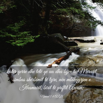 Picture 03 - Numrat 7:8 ALB - katër qerre dhe tetë qe ua dha bijve të - Bible Verse Picture