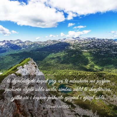 Picture 03 - Numrat 7:86 ALB - të dymbëdhjetë kupat prej ari të mbushura me - Bible Verse Picture