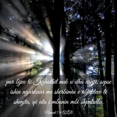 Picture 03 - Numrat 7:9 ALB - por bijve të Kehathit nuk u dha asgjë, sepse - Bible Verse Picture