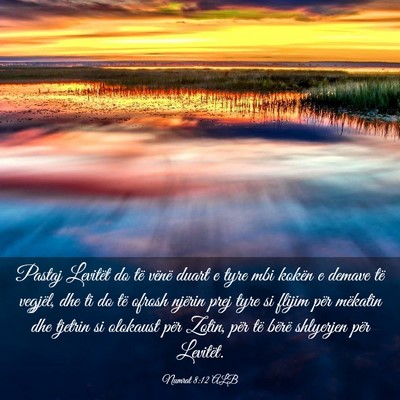Picture 03 - Numrat 8:12 ALB - Pastaj Levitët do të vënë duart e tyre mbi - Bible Verse Picture