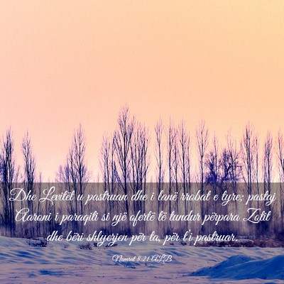 Picture 03 - Numrat 8:21 ALB - Dhe Levitët u pastruan dhe i lanë rrobat e - Bible Verse Picture