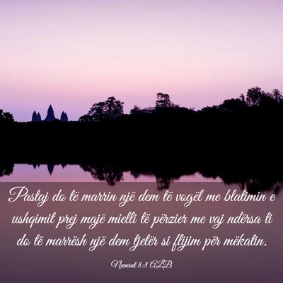 Picture 03 - Numrat 8:8 ALB - Pastaj do të marrin një dem të vogël me - Bible Verse Picture