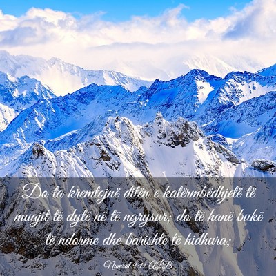 Picture 03 - Numrat 9:11 ALB - Do ta kremtojnë ditën e katërmbëdhjetë të - Bible Verse Picture