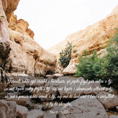 Picture 03 - Osea 10:1 ALB - Izraeli ishte një vresht i harlisur, që jepte - Bible Verse Picture