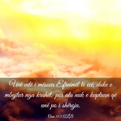 Picture 03 - Osea 11:3 ALB - Unë vetë i mësova Efraimit të ecë, duke e - Bible Verse Picture