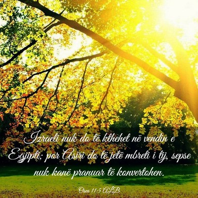 Picture 03 - Osea 11:5 ALB - Izraeli nuk do të kthehet në vendin e Egjipti; - Bible Verse Picture