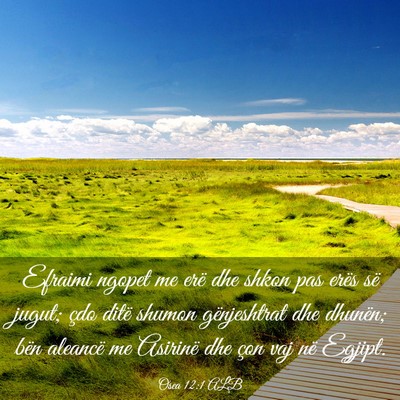Picture 03 - Osea 12:1 ALB - Efraimi ngopet me erë dhe shkon pas erës së - Bible Verse Picture