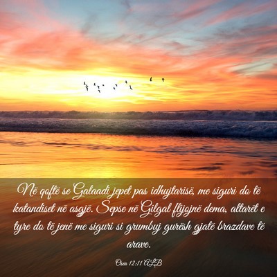 Picture 03 - Osea 12:11 ALB - Në qoftë se Galaadi jepet pas idhujtarisë, me - Bible Verse Picture