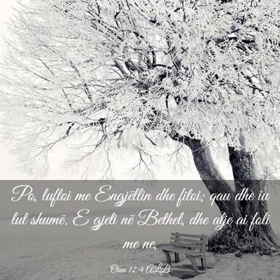 Picture 03 - Osea 12:4 ALB - Po, luftoi me Engjëllin dhe fitoi; qau dhe iu - Bible Verse Picture