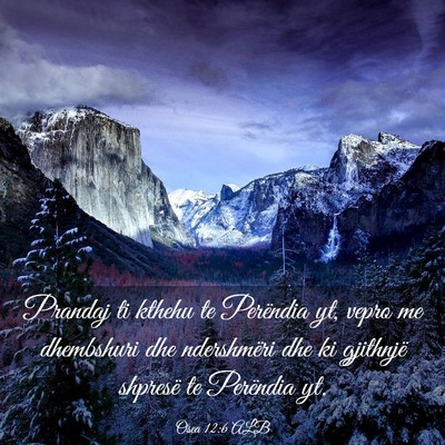 Picture 03 - Osea 12:6 ALB - Prandaj ti kthehu te Perëndia yt, vepro me - Bible Verse Picture