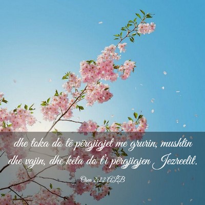 Picture 03 - Osea 2:22 ALB - dhe toka do të përgjigjet me grurin, mushtin - Bible Verse Picture