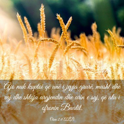 Picture 03 - Osea 2:8 ALB - Ajo nuk kuptoi që unë i jepja grurë, musht dhe - Bible Verse Picture