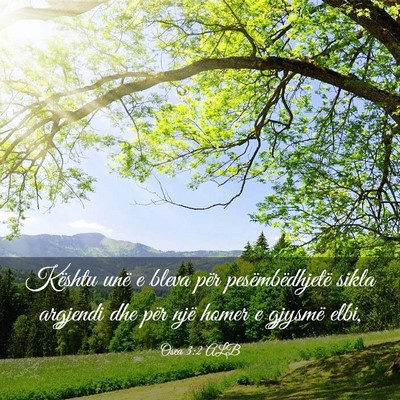Picture 03 - Osea 3:2 ALB - Kështu unë e bleva për pesëmbëdhjetë sikla - Bible Verse Picture