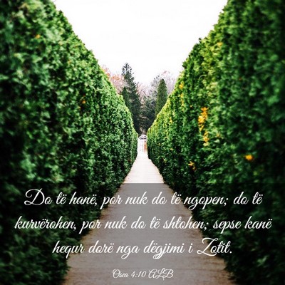 Picture 03 - Osea 4:10 ALB - Do të hanë, por nuk do të ngopen; do të - Bible Verse Picture