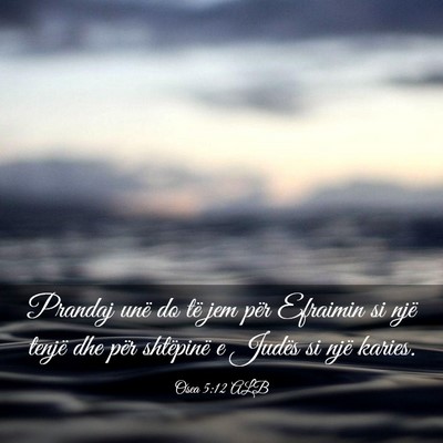 Picture 03 - Osea 5:12 ALB - Prandaj unë do të jem për Efraimin si një - Bible Verse Picture