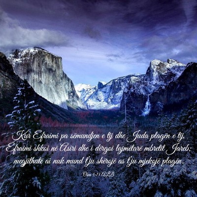 Picture 03 - Osea 5:13 ALB - Kur Efraimi pa sëmundjen e tij dhe Juda plagën - Bible Verse Picture