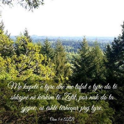 Picture 03 - Osea 5:6 ALB - Me kopetë e tyre dhe me tufat e tyre do të - Bible Verse Picture