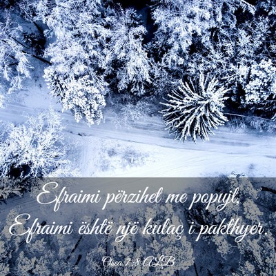 Picture 03 - Osea 7:8 ALB - Efraimi përzihet me popujt, Efraimi është një - Bible Verse Picture