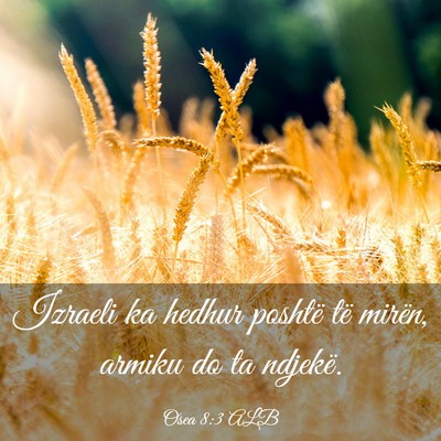 Picture 03 - Osea 8:3 ALB - Izraeli ka hedhur poshtë të mirën, armiku do - Bible Verse Picture