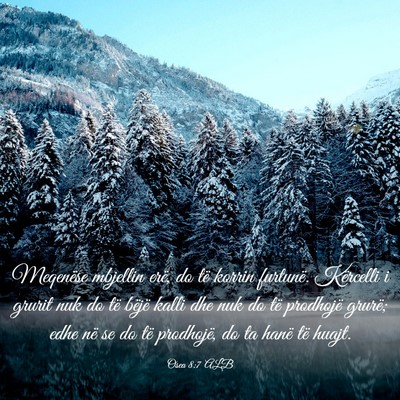 Picture 03 - Osea 8:7 ALB - Meqenëse mbjellin erë, do të korrin furtunë. - Bible Verse Picture