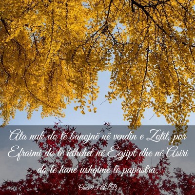 Picture 03 - Osea 9:3 ALB - Ata nuk do të banojnë në vendin e Zotit, por - Bible Verse Picture