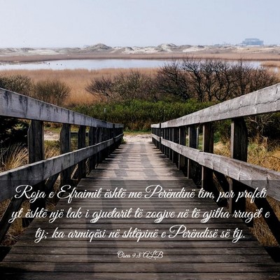 Picture 03 - Osea 9:8 ALB - Roja e Efraimit është me Perëndinë tim, por - Bible Verse Picture