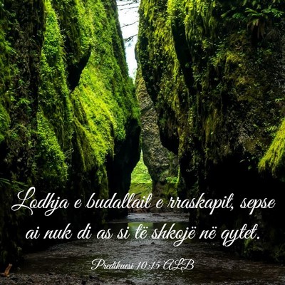 Picture 03 - Predikuesi 10:15 ALB - Lodhja e budallait e rraskapit, sepse ai nuk di - Bible Verse Picture