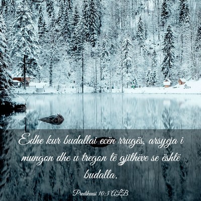 Picture 03 - Predikuesi 10:3 ALB - Edhe kur budallai ecën rrugës, arsyeja i mungon - Bible Verse Picture