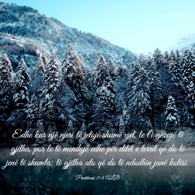 Picture 03 - Predikuesi 11:8 ALB - Edhe kur një njeri të jetojë shumë vjet, le - Bible Verse Picture