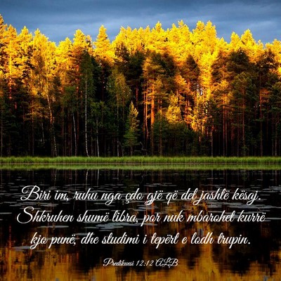 Picture 03 - Predikuesi 12:12 ALB - Biri im, ruhu nga çdo gjë që del jashtë - Bible Verse Picture