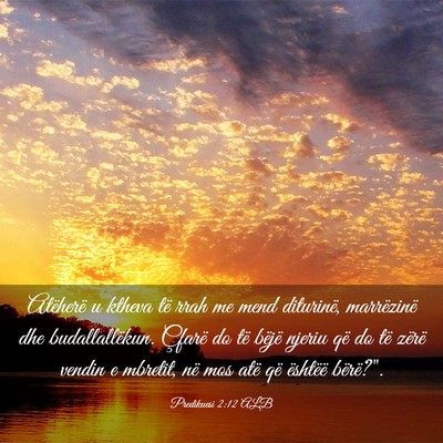 Picture 03 - Predikuesi 2:12 ALB - Atëherë u ktheva të rrah me mend diturinë, - Bible Verse Picture