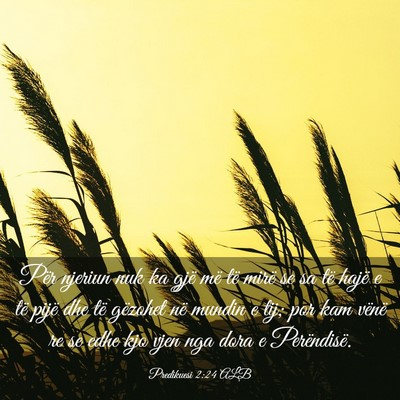Picture 03 - Predikuesi 2:24 ALB - Për njeriun nuk ka gjë më të mirë se sa të - Bible Verse Picture