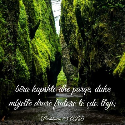 Picture 03 - Predikuesi 2:5 ALB - bëra kopshte dhe parqe, duke mbjellë drurë - Bible Verse Picture