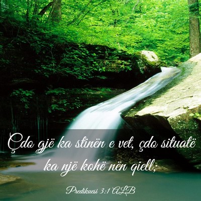 Picture 03 - Predikuesi 3:1 ALB - Çdo gjë ka stinën e vet, çdo situatë ka një - Bible Verse Picture