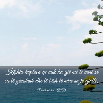 Picture 03 - Predikuesi 3:12 ALB - Kështu kuptova që nuk ka gjë më të mirë se - Bible Verse Picture