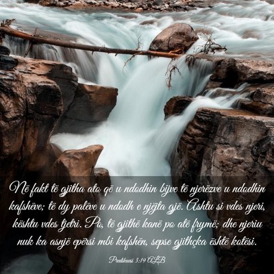 Picture 03 - Predikuesi 3:19 ALB - Në fakt të gjitha ato që u ndodhin bijve të - Bible Verse Picture