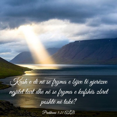 Picture 03 - Predikuesi 3:21 ALB - Kush e di në se fryma e bijve të njerëzve - Bible Verse Picture