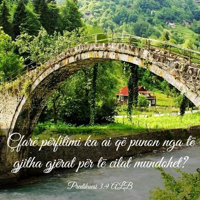 Picture 03 - Predikuesi 3:9 ALB - Çfarë përfitimi ka ai që punon nga të gjitha - Bible Verse Picture