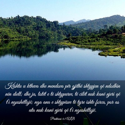 Picture 03 - Predikuesi 4:1 ALB - Kështu u ktheva dhe mendova për gjithë - Bible Verse Picture